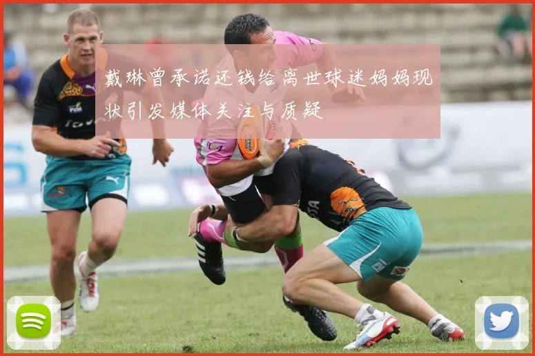 戴琳曾承诺还钱给离世球迷妈妈现状引发媒体关注与质疑